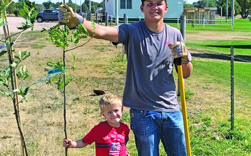 Courtesy Photo Dax Dolezal and Turner Anderson volunteered their time this past weekend to plant trees for the Rushville Tree Board for the Ballpark Beauty Project.