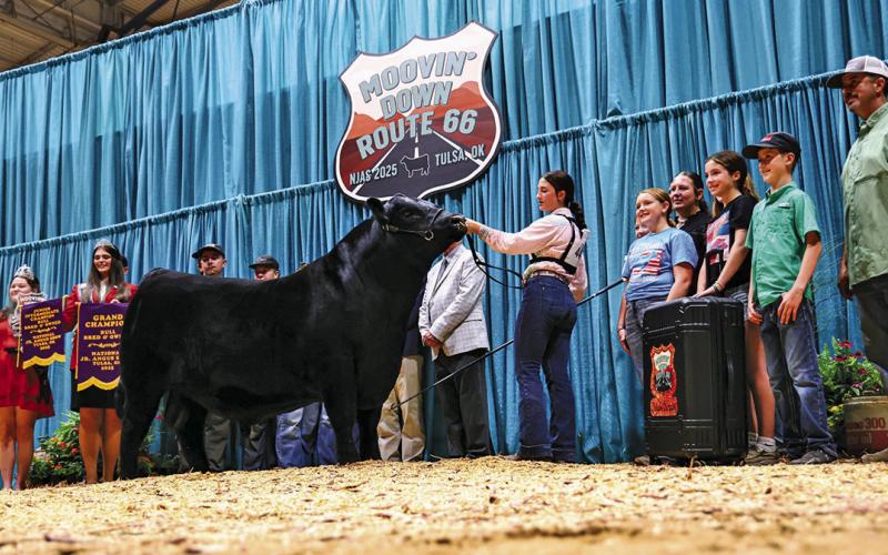 (Courtesy Photo) A unique angle on a special photo for Gordon resident Payton Scott and her grand champion bred and owned bull KR Creed 4089 at the National Junior Angus Show in Tulsa, Oklahoma. Scott, along with her family and friends, gathered to take this photo to celebrate the big win.