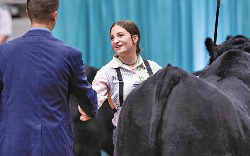 (Courtesy Photo) The moment Payton Scott had been waiting for. Judge Jeff Gooden signifies his choice for top bred-and-owned bull at the National Junior Angus show with a handshake. The winner of course was Gordon resident Payton Scott.