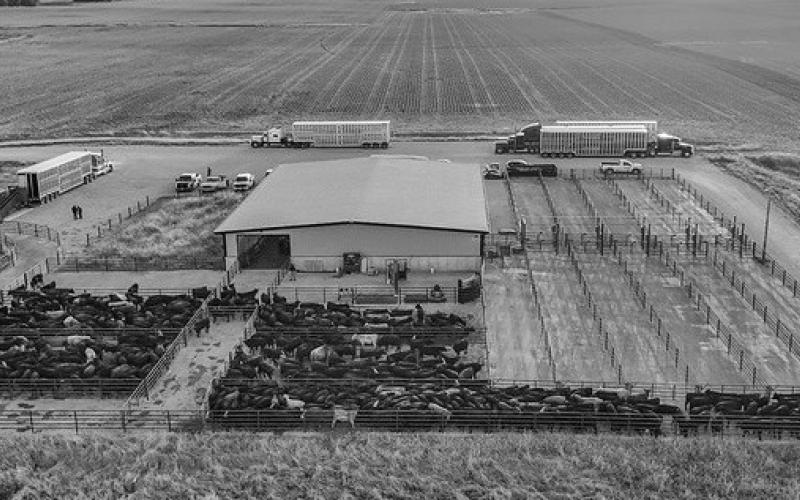 Photo by Abigayle Warm The Klosterman Feedlot Innovation Center at University of Nebraska — Lincoln’s Eastern Nebraska Research, Research, Extension and Education Center is a leader in feedlot research.