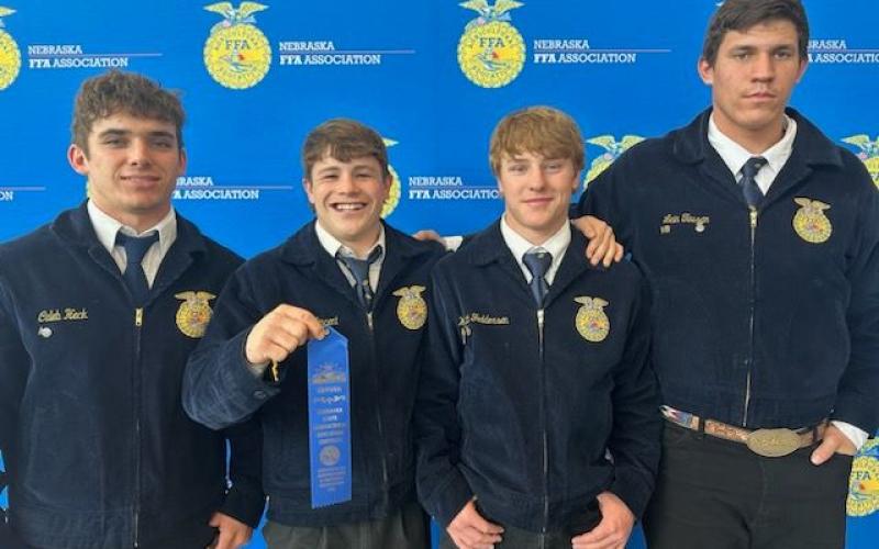 GR Senior Livestock