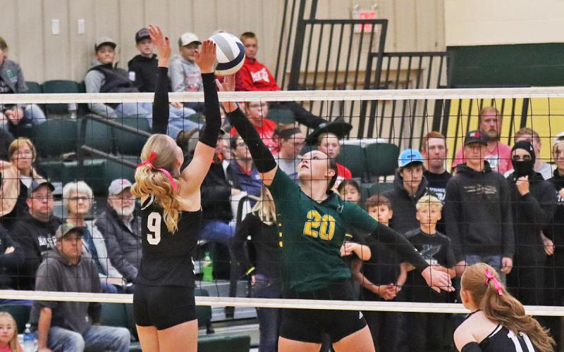 (Photo by Scott Bidroski) Senior Mya Turman tips a shot past the Crawford defender for another Hawks point.