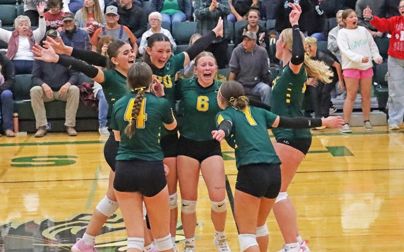 (Photo by Scott Bidroski) The final point hits the floor and the Hawks celebrate as a team, punching their ticket to a District Final with a win over Crawford.