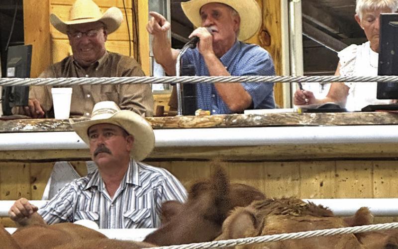 Photo by Heidi Beguin Doug Jaggers, next to Dan Otte, and the crew he’s worked with for years, points to a bidder at his last livestock auction at Sheridan Livestock Auction Company in Rushville.