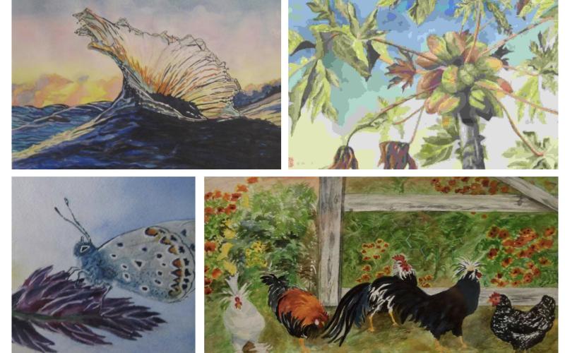 Courtesy Photo Gordon resident Leslie Anne Liebermann draws much of the inspiration for her art from nature.
