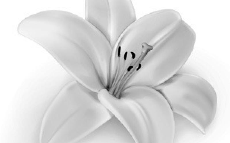 Loretta Fish Obituary