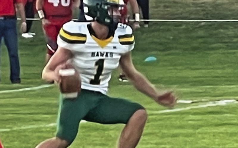 Photo by Jessica Mintken Senior Dylan Young looks for an open receiver against Potter-Dix on Friday, September 13. The Hawks would cruise to a big victory, 88-53.