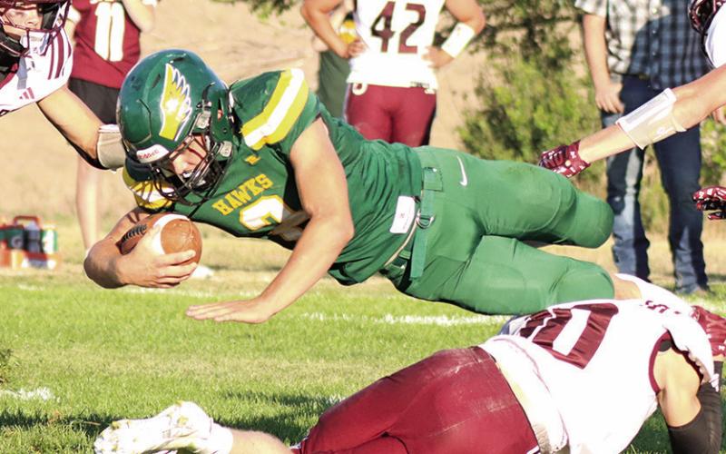 (Photo by Scott Bidroski) Hawks senior Tripp Buettner lunges forward for more yards against Stuart. Buettner finished his day with 76 yards rushing to lead the Hawks.