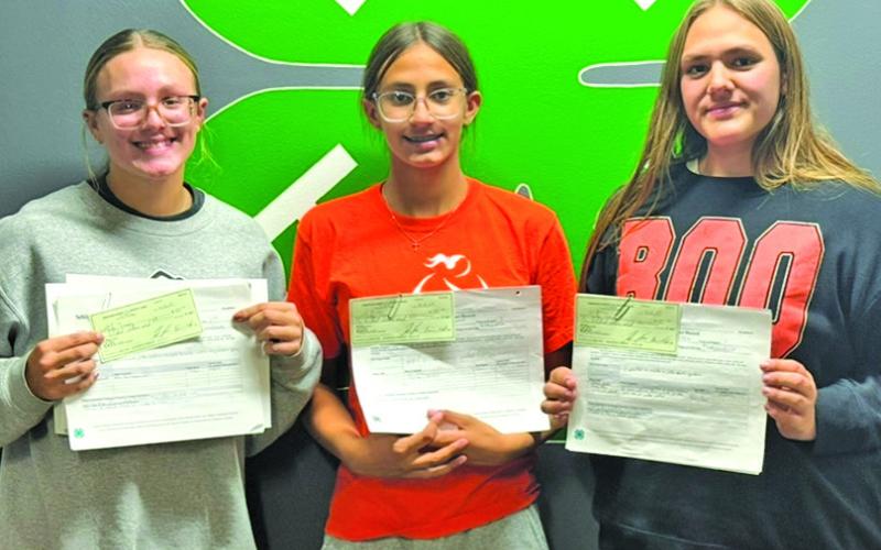Courtesy Photo Kiley Tausan, Keeley Tausan, and Kinley Tausan were given Record Book awards for their notes about three of their projects.