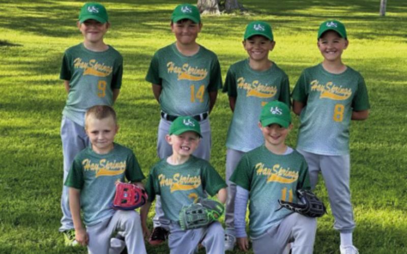 Courtesy Photo Hay Springs Rookies Baseball Team #2. Front row: (L-R) Jeremy Youel, Conley Yanker, Ryder Sandoz. Back row: (L-R) Tagert Benstead, Rowdy Binger, Bryson Backwards, Britton Young. Not pictured: William Anderson-Beguin and Gatlin Harrison.