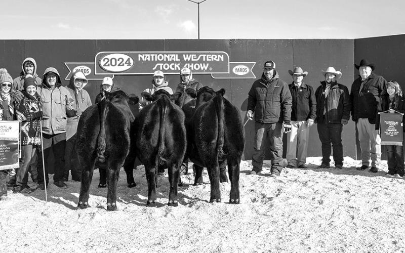 Photo by Legacy Livestock Imaging