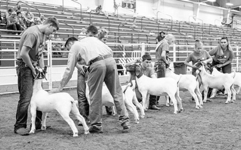 Courtesy Photo The Nebraska 4-H Volunteer Recognition Awards are accepting nomination for the 2024 awards.