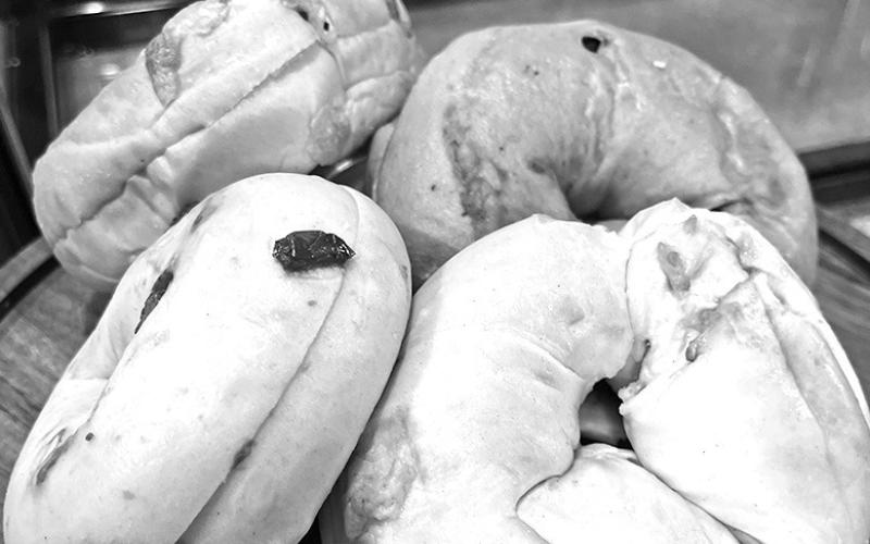 Photo by Trinity Taylor Half Diamond E Coffee has added Black Hill’s Bagels to the list of the yummy treats you can pick up at the Main St. business.
