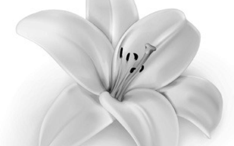 Alt Text for Image
