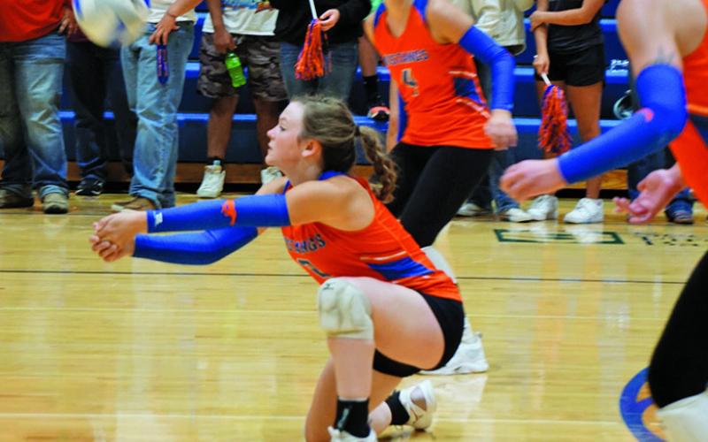 Photo by Michele Heck Senior Braylynne McKimmey gets down for the dig against Chadron. McKimmey finished the match with 16 digs.