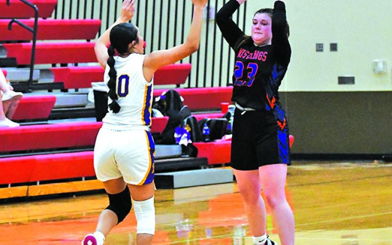 Photo by Melissa Grover Senior Lillee Schmidt looks for the pass over the defense of the Bridgeport Bulldogs.