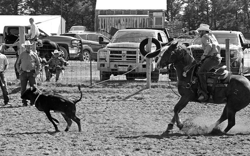 Trevor Ginkens competes in the Fun Days Rodeo. Photo by Heidi Beguin