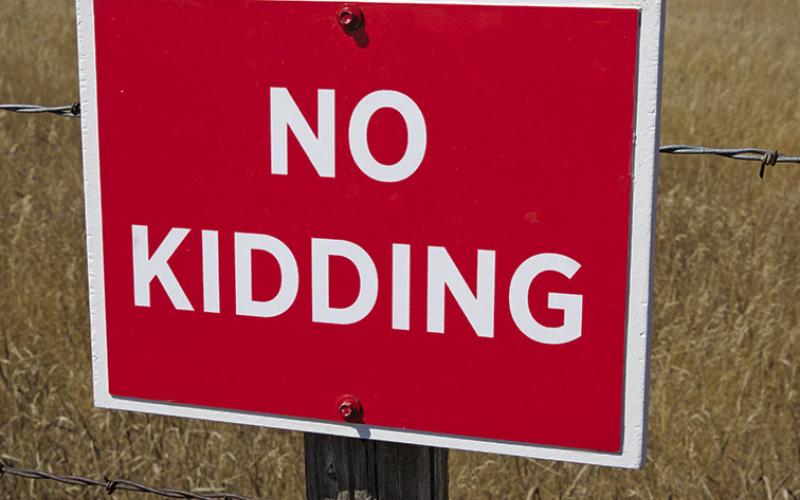 Courtesy Photo No Kidding? The Sandhills Institute is not kidding one bit about the new art project around Rushville. Keep your eyes peeled for some new additions around town.