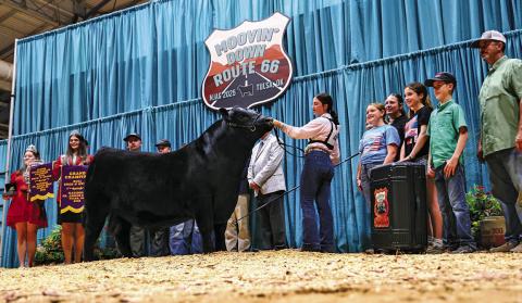 (Courtesy Photo) A unique angle on a special photo for Gordon resident Payton Scott and her grand champion bred and owned bull KR Creed 4089 at the National Junior Angus Show in Tulsa, Oklahoma. Scott, along with her family and friends, gathered to take this photo to celebrate the big win.