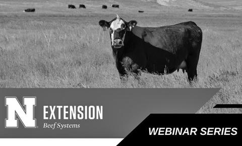 Fundamentals of feeding the cow webinar series