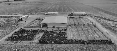 Photo by Abigayle Warm The Klosterman Feedlot Innovation Center at University of Nebraska — Lincoln’s Eastern Nebraska Research, Research, Extension and Education Center is a leader in feedlot research.
