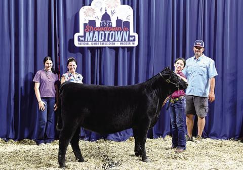 Photo by Pearl’s Pics. TR MS Duchess 3439L won owned phenotype and genotype heifer division 1 at the 2024 National Junior Angus Show (NJAS), June 30 - July 6 in Madison, Wis. Harper Scott, Gordon, Neb., owns the winning heifer.