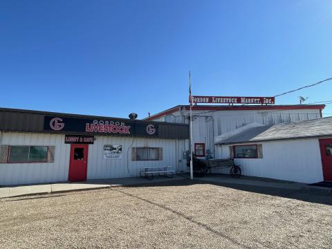 GORDON LIVESTOCK MARKET