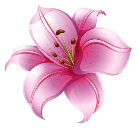SCJS Obituaries