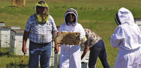 Photo Courtesy of Senator Deb Fischer’s Office Nebraska State Senator Deb Fischer snaps a photo while working bees with Hay Springs resident Ed McDonald on Tuesday, August 12. Fischer as in town to visit with the McDonald’s about their independent, wholesale beekeeping business that has been operating for 37 years.