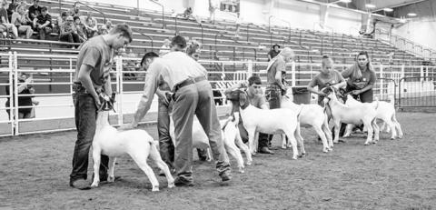 Courtesy Photo The Nebraska 4-H Volunteer Recognition Awards are accepting nomination for the 2024 awards.