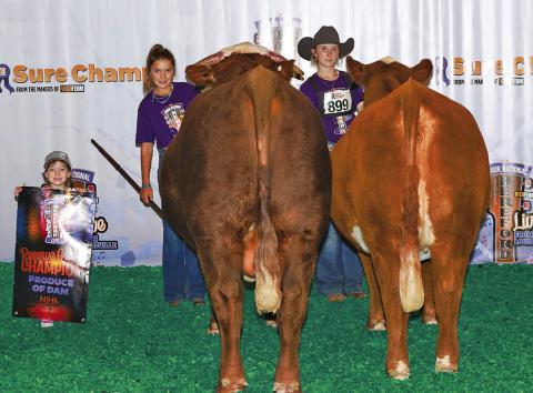 Courtesy Photo Reserve grand champion produce-of-dam group, Kynsleigh Krebs (right) with sister Kashlyn (left).