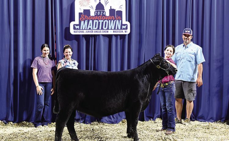 Photo by Pearl’s Pics. TR MS Duchess 3439L won owned phenotype and genotype heifer division 1 at the 2024 National Junior Angus Show (NJAS), June 30 - July 6 in Madison, Wis. Harper Scott, Gordon, Neb., owns the winning heifer.
