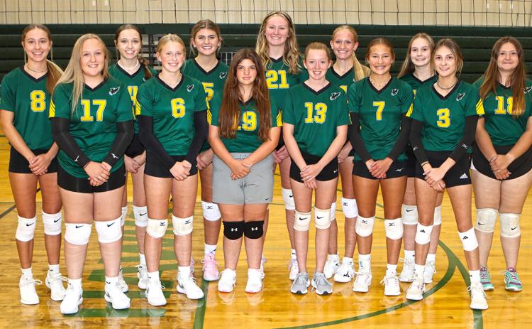 Hawks Volleyball