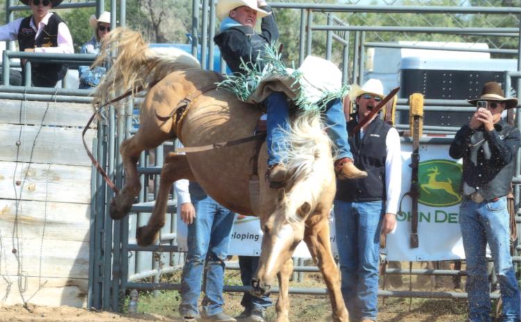(Photo by Con Marshall) Chadron State sophomore Tanner Olson of Gordon placed fourth in the bareback riding at the CSC rodeo last weekend. He scored a career-high 80 points to tie for first in the opening go-round, then was given 73 points while easily riding this palomino in the finals on Sunday. The rodeo was the first of the year in the Central Rocky Mountain Region.