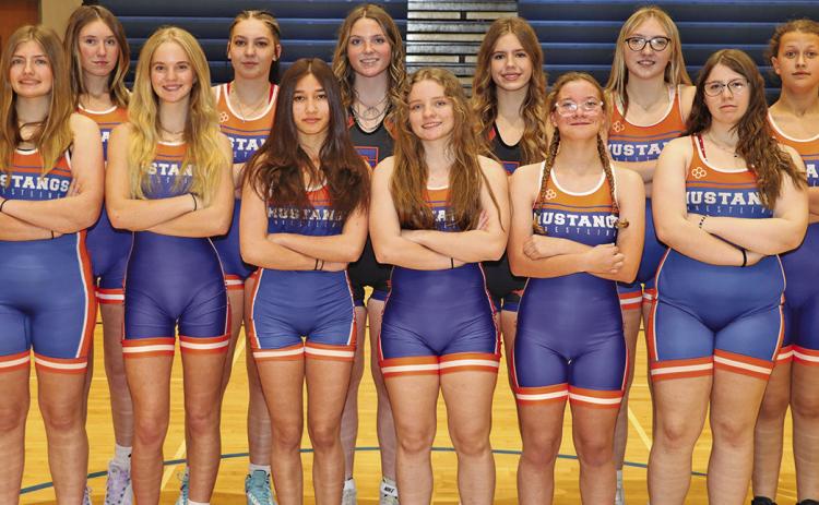 (Photo by Scott Bidroski) The 2025-26 Gordon-Rushville Girls Wrestling team. Front row: (L-R) MacKenzie Simonson, Grace Freeseman, Eliza Golden, Madyson DeHart-Harris, Angelina Thorsen, and Shelby Brown. Back row: (L-R) Kynsleigh Krebs, Charlea Fancher, Kirsten Heck, Jenifer Banister, Stormy Tesch, and Maggie Scott.